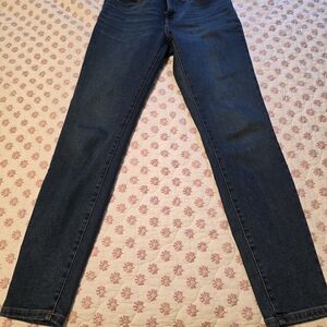 Everlane Dark Blue Skinny Jeans
